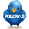 Follow Sportspunter on Twitter